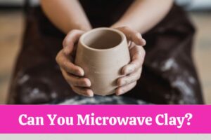 Can You Microwave Clay