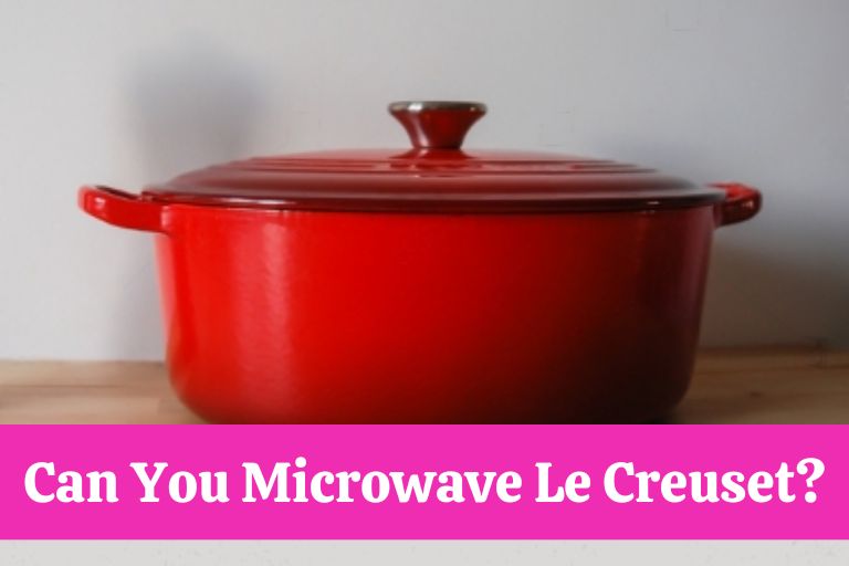 Can You Microwave Le Creuset