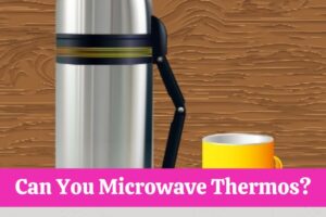 Can You Microwave Thermos